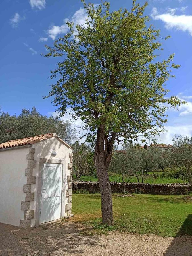 Holiday House Vela Vrta Sveti Ivan Dobrinjski Zewnętrze zdjęcie