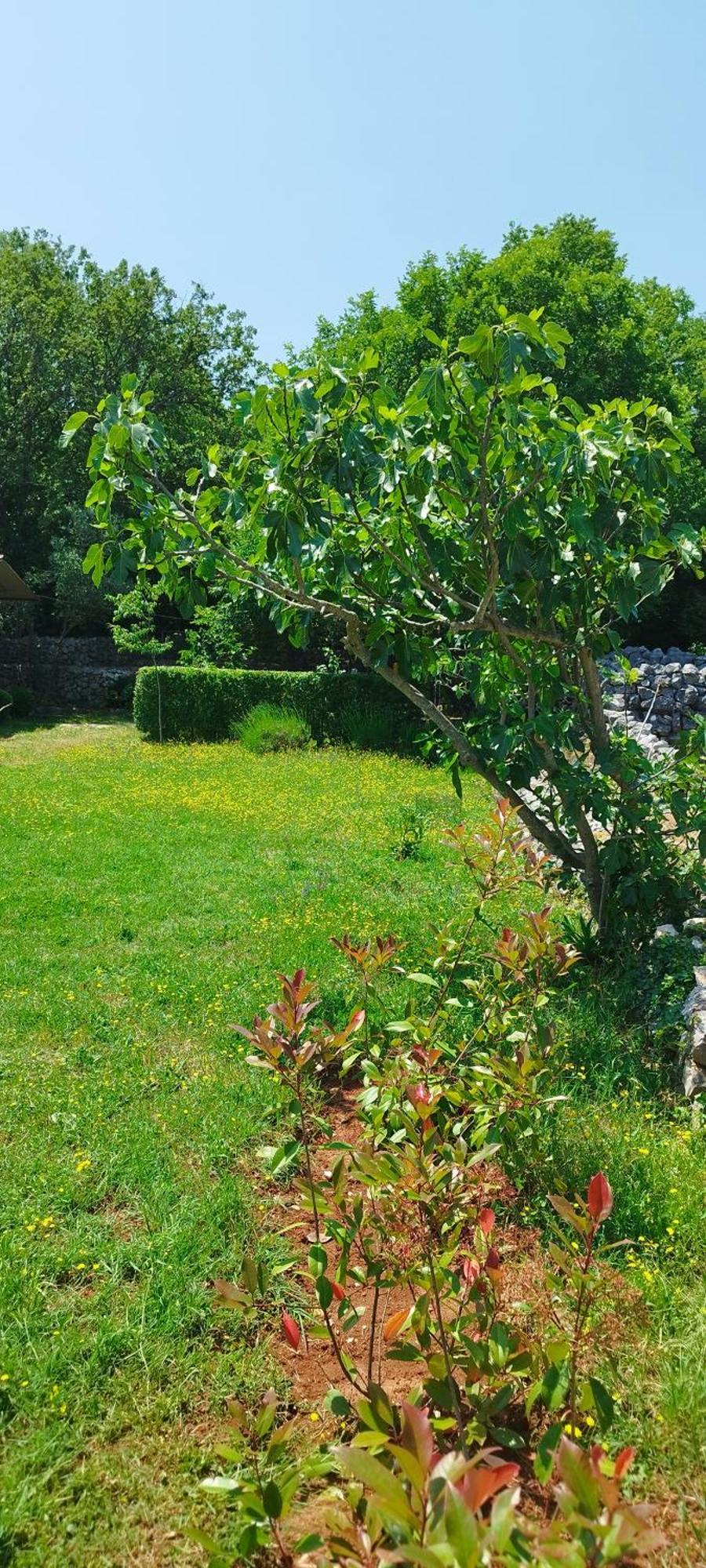 Holiday House Vela Vrta Sveti Ivan Dobrinjski Zewnętrze zdjęcie